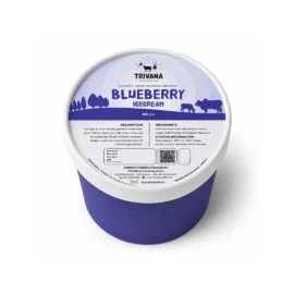 Blueberry Ice Cream