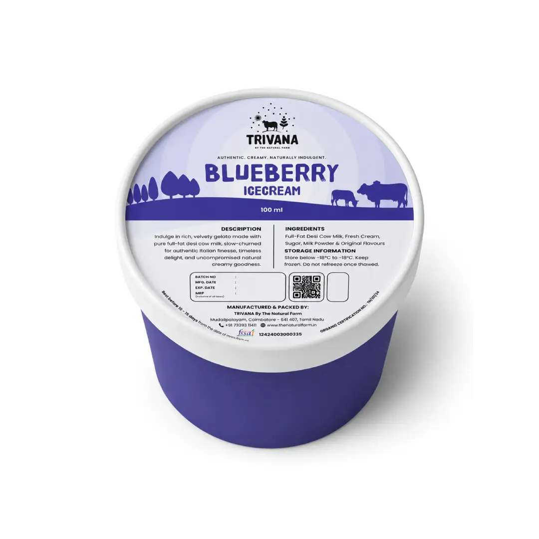 Blueberry Ice Cream